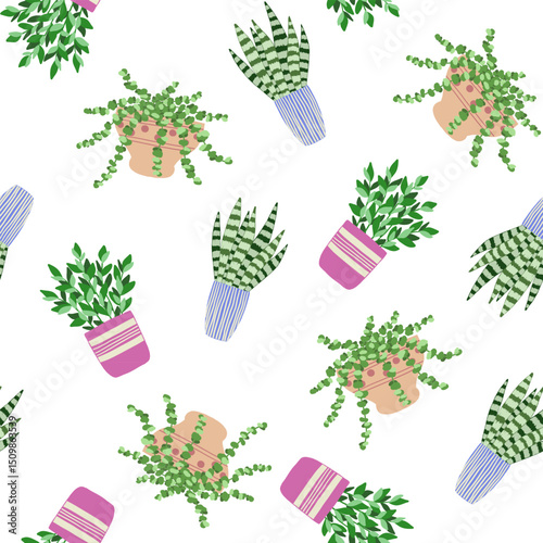 Seamless pattern of indoor plants in a pot on a white background. Vector illustration.