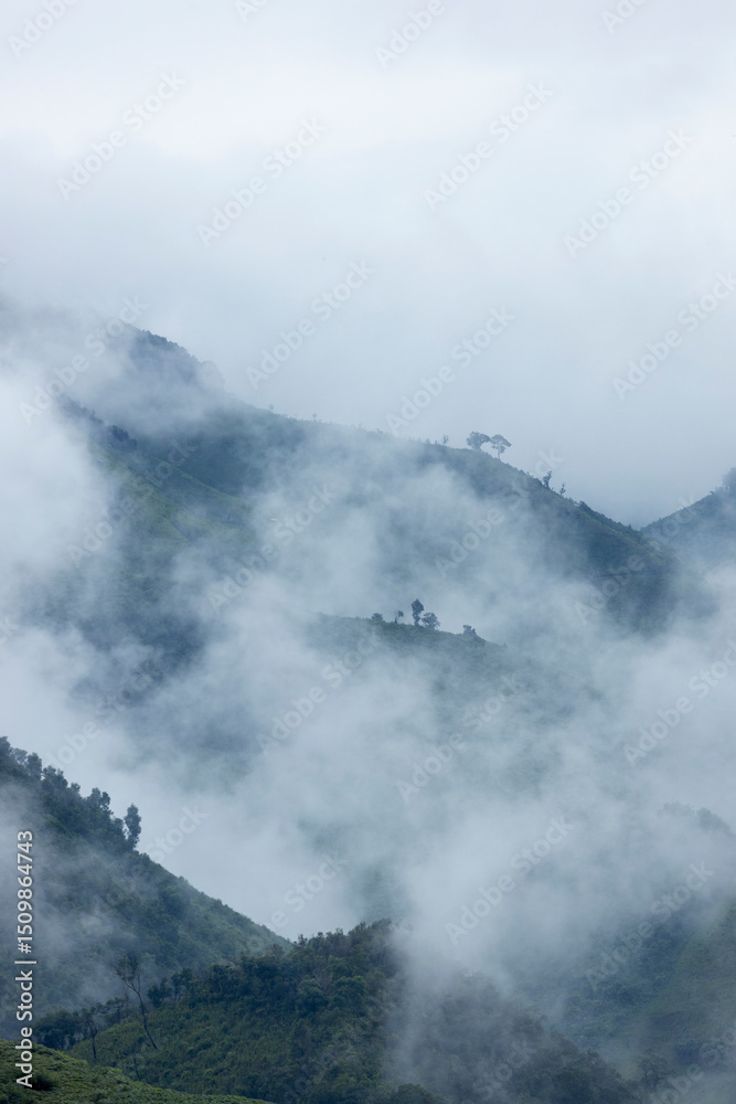 Fototapeta premium Landscape of Morning Mist with Mountain Layer. mountain ridge and clouds in rural jungle bush forest