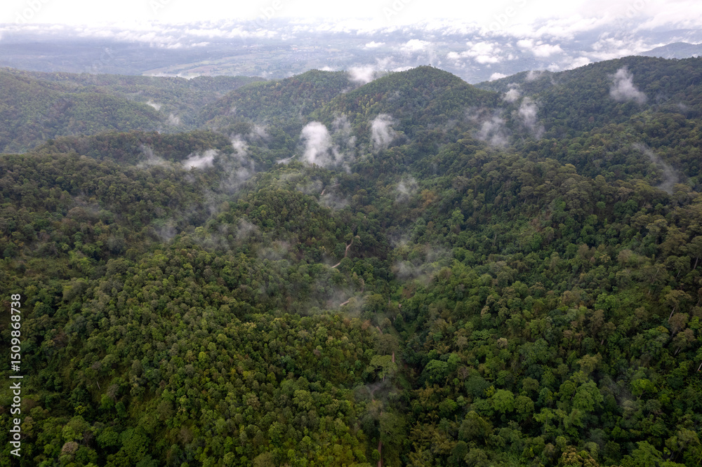 Fototapeta premium Landscape of Morning Mist with Mountain Layer. mountain ridge and clouds in rural jungle bush forest