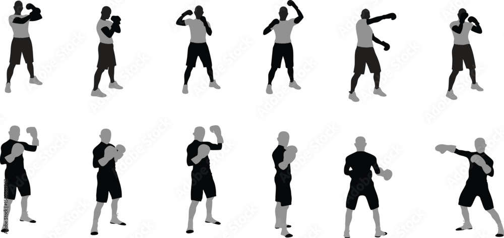 Fototapeta premium Boxer character poses scalable graphic for animation and game design