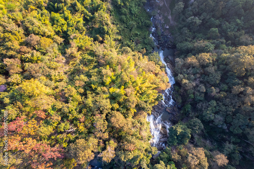 Scenic topdown shot of a deciduous forest changing leaves at the height of autumn. Picturesque flying view of the vibrant