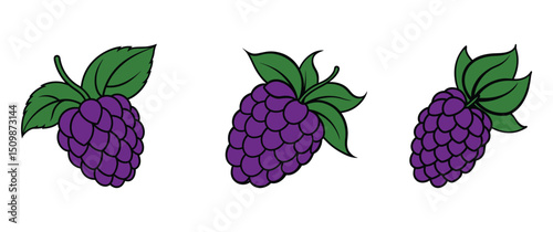 set of Colorful bunch of grapes vector illustration, Bright, stylized vector illustration of a purple grape bunch with a green leaf, designed in a bold and playful style.