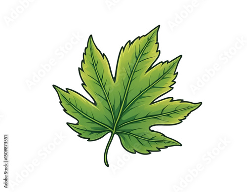 Leaf