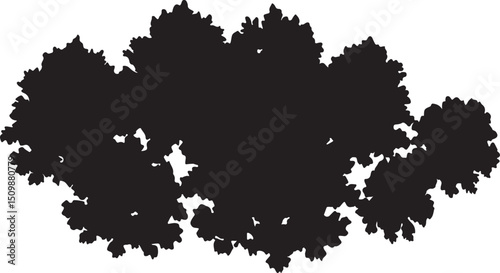 Silhouette of a Tree: A minimalist silhouette of a majestic tree, its dense canopy casting a striking shape against the sky, evoking a sense of nature's enduring presence.