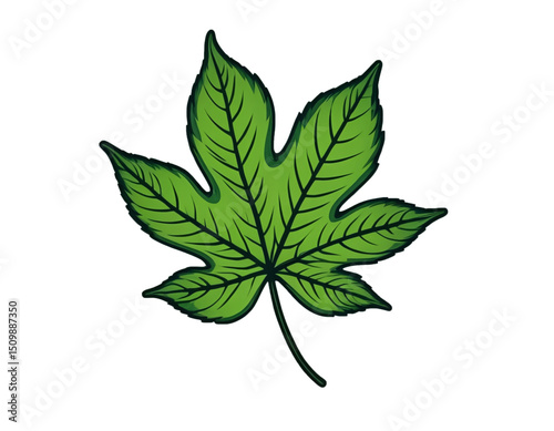 Leaf