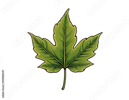 Leaf