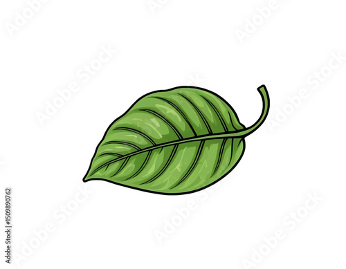Leaf