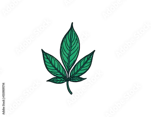 Leaf