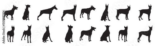 doberman dog silhouette.