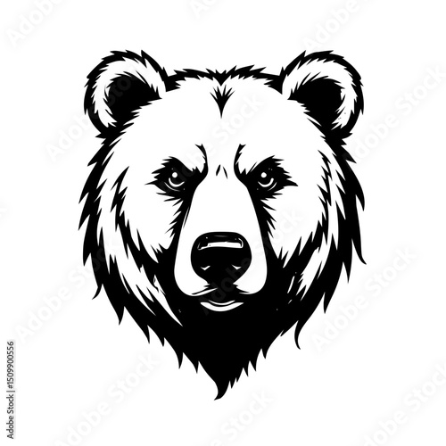 vector illustration of a bear