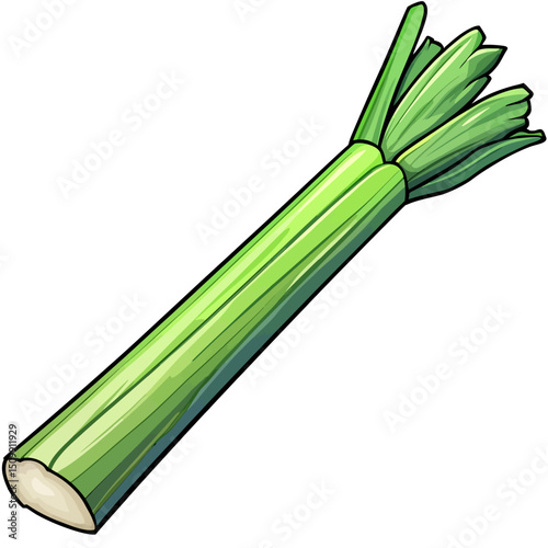Illustration of a leek