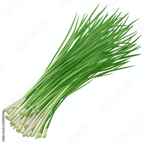 Lemongrass isolated on white 