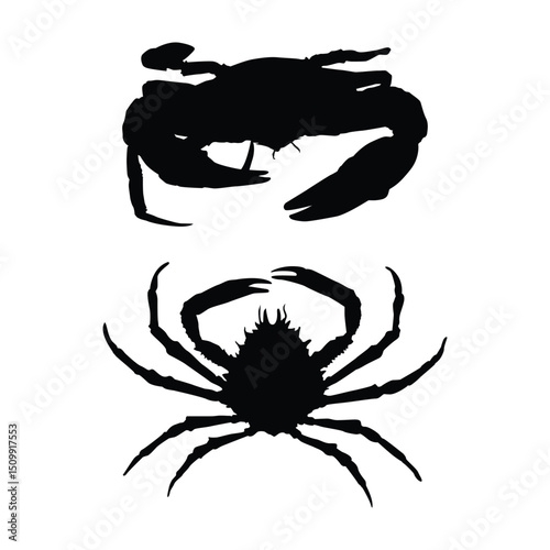 Seafood Icon Crab Vector Silhouette on whtie background Vol 05