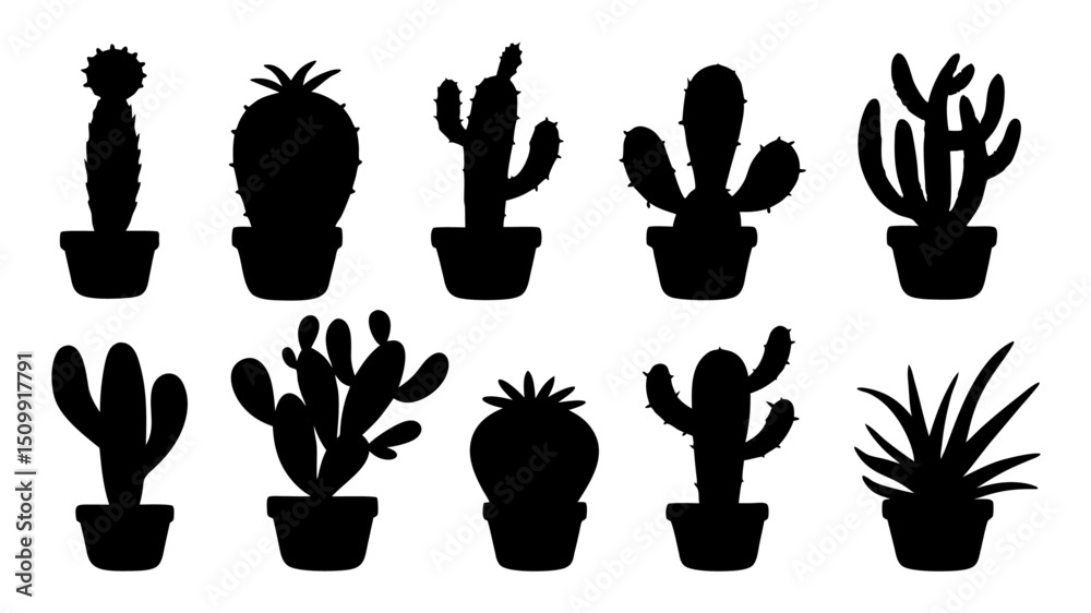Fototapeta premium Cactus in pots silhouette