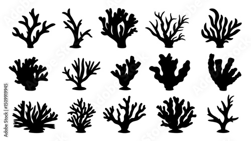 Seaweed silhouettes, coral black icon. Abstract organic shape, underwater plant, matisse element, cute sea doodle.