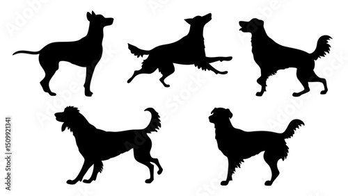 set of dog different pose silhouette vector