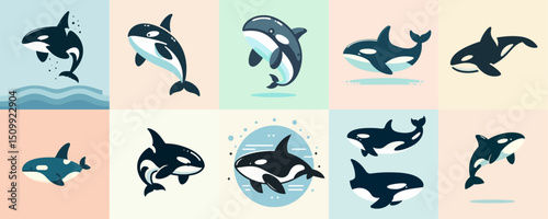 cartoon illustration of orca collection
