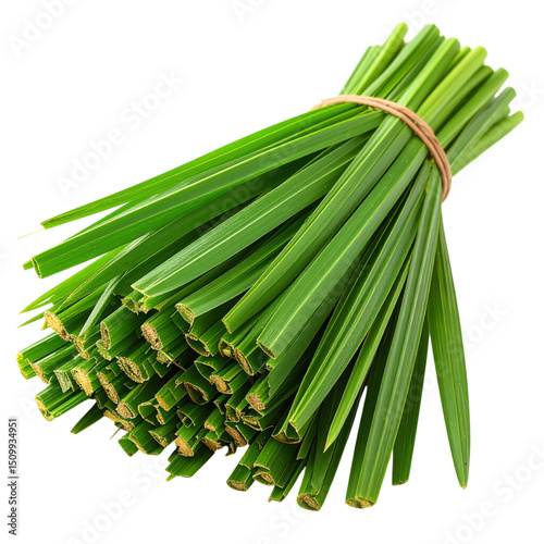 A bundle of fresh, green pandan leaves tied together with a rubber band photo