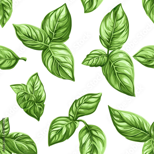 2d illustration of a tileable pattern of basil leaves isolated on a white transparent background