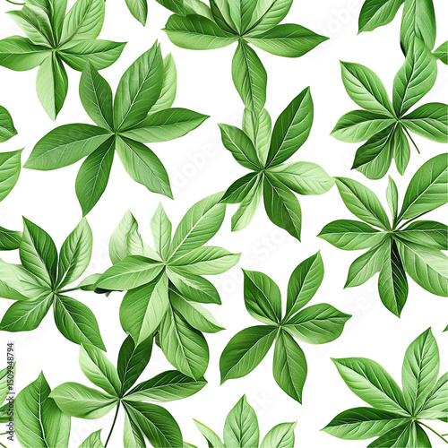 2d illustration of a tileable pattern of cassava leaves isolated on a white transparent background