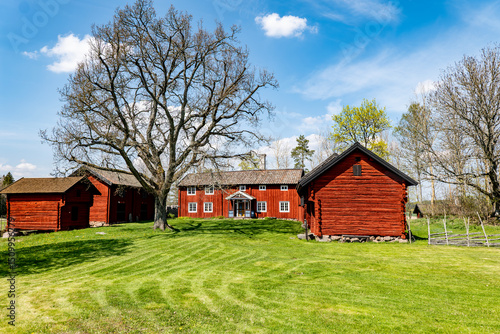 Wallpaper Mural A typically red wooden house and barn in a Swedish summer landscape Torontodigital.ca