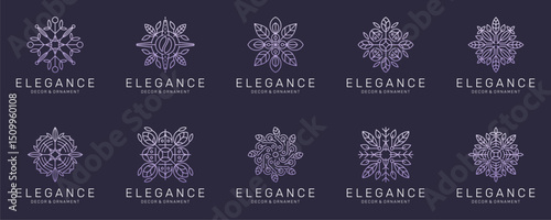 Set Collections of Flower Elegance with Ornament and Decoration, Abstract Floral Logo Design Vector Inspirations.