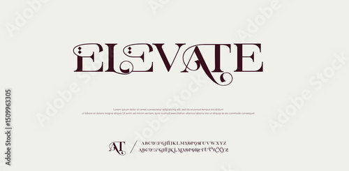 Stylish Elevate  Typeface for Luxury Branding and Elegant Typography Decorative and Fancy Font 