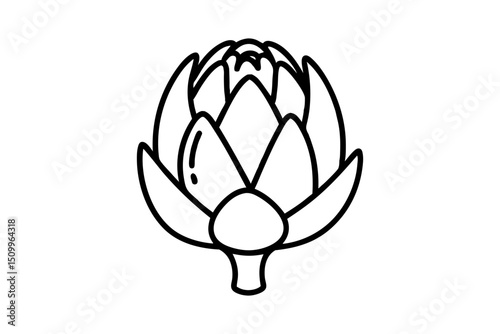 Simple line drawing of an artichoke vegetable