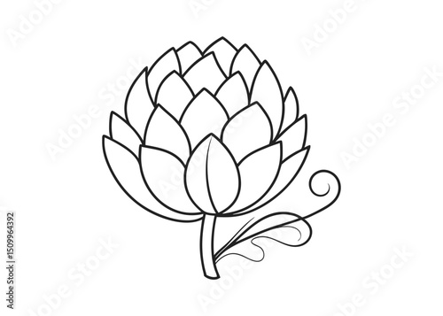 Elegant line art drawing of a single artichoke flower