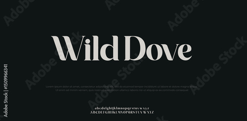 Wild Dove modern, futuristic modern geometric font 