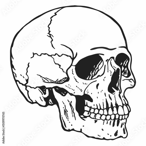 Spooky human skull cartoon vector illustration for Halloween art and tattoo design