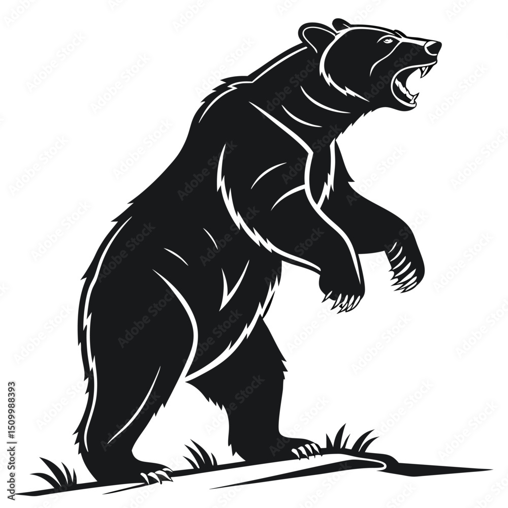 Fototapeta premium Roaring Bear Standing on Hind Legs Black and White Vector Illustration