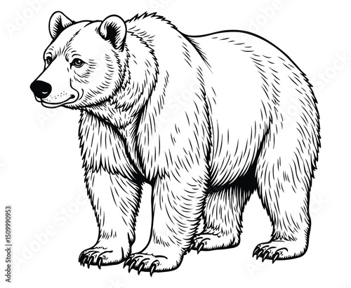 Cute grizzly bear Illustration Coloring Book