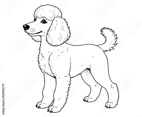 Cute poodle Illustration Coloring Book