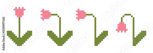 Pixel art - set of flowers from color blocks. Flower set, 8 bit. Pink flower with leaf and stem, stages of withering. Isolated vector illustration on white background.
