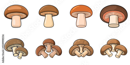 Shiitake mushrooms and outlines in multiple vector illustrations