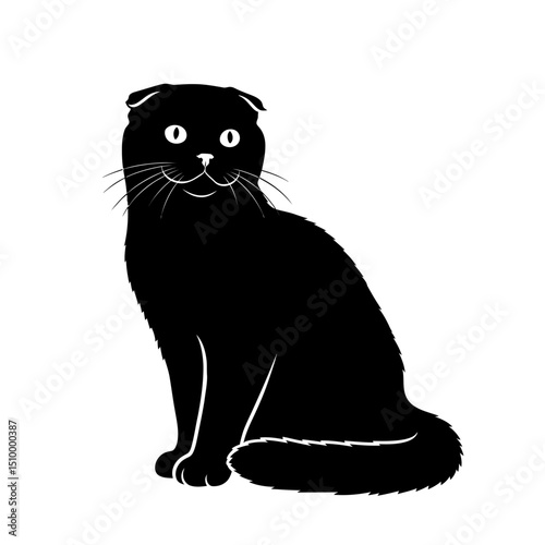 Black scottish fold cat sitting isolated on white background, a domestic feline with folded ears, looking forward with a cute and elegant pose in a minimalist design