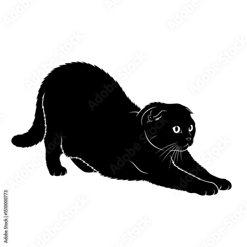 Black scottish fold cat stretching isolated on white background, a vector illustration of a cute pet in a playful pose, perfect for graphic design and animal lovers
