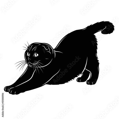 Black scottish fold cat stretching isolated on white background, vector illustration of a cute domestic animal in a playful pose, perfect for design and graphics