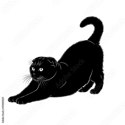 Black scottish fold cat stretching isolated on white background, a domestic feline pet with a cute pose, vector illustration of a playful kitty