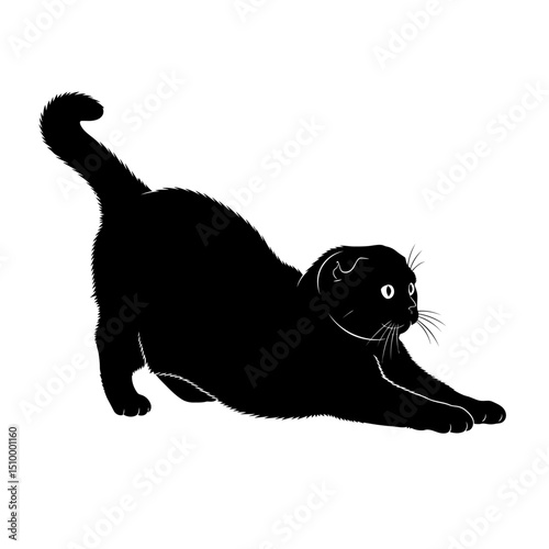 Black scottish fold cat stretching isolated on white background, a cute domestic feline pet with fur, eyes, ears, tail, and paws in a playful pose, vector illustration