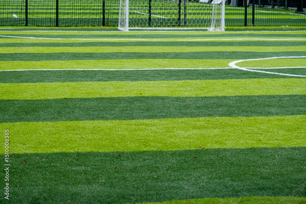 Fototapeta premium Freshly Cut Green Grass with Diagonal Lines