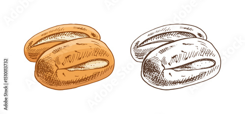 Hand drawn vintage sketch of two bread rolls in brown ink engraving style, isolated vector illustration set
