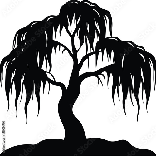 Weeping willow tree silhouette isolated on white background