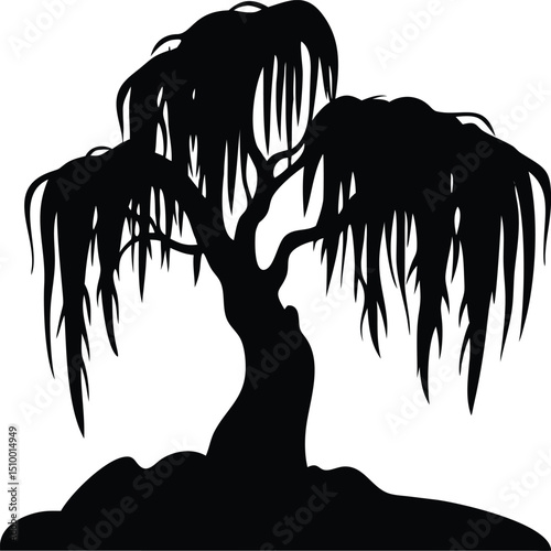 Silhouette of a weeping willow tree isolated on white background