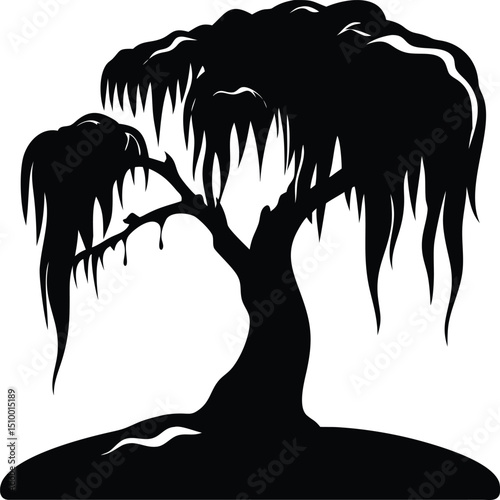 Weeping willow tree silhouette isolated on white background