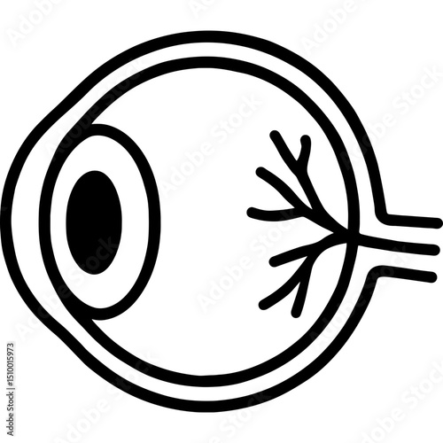 Minimalist eye anatomy vector icon