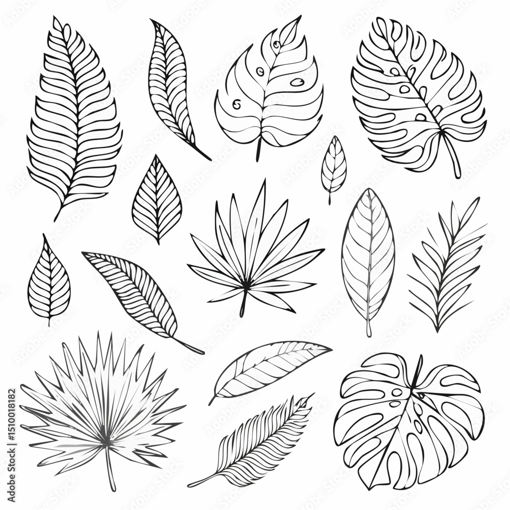 Fototapeta premium A detailed vector set of hand-drawn tropical leaves in black outline style. Perfect for botanical prints, design assets, and nature-themed artwork.