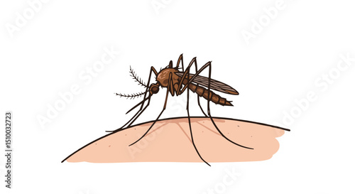 mosquito biting human skin in a close-up view on a white background