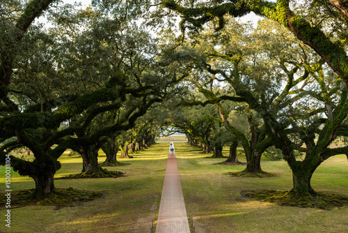 a former plantation near New Orleans capture historic mansions, grand oak-lined avenues, and remnants of antebellum architecture. The images often show preserved or restored plantation houses